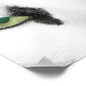 猫の目 ポスター (角)