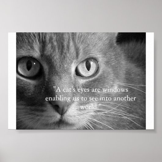 猫の目… ポスター (正面)