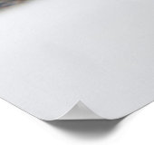 猫の目 ポスター (角)