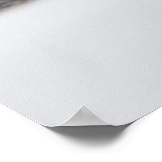 猫の目 ポスター (角)