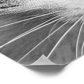 猫の目 ポスター (角)