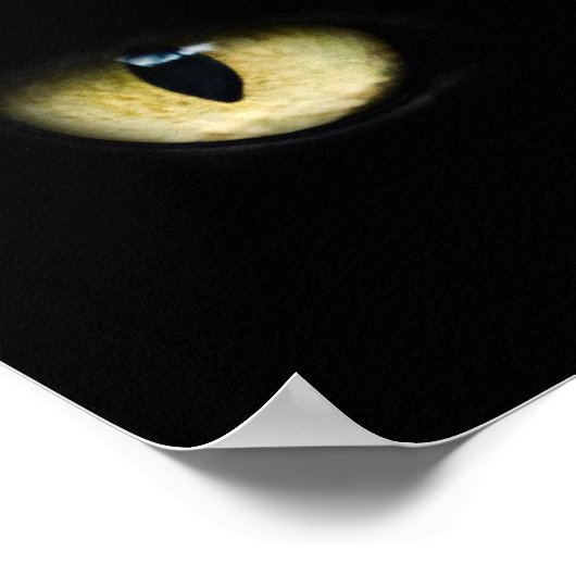 猫の目 ポスター (角)