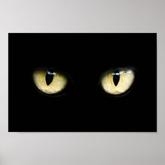 猫の目 ポスター (正面)