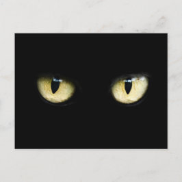 猫の目 ポストカード