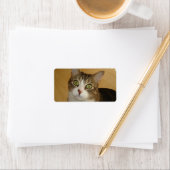 猫の目 ラベル (インサイチュ)