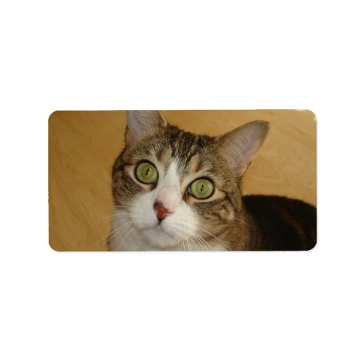 猫の目 ラベル (正面)