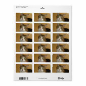 猫の目 ラベル (フルシート)