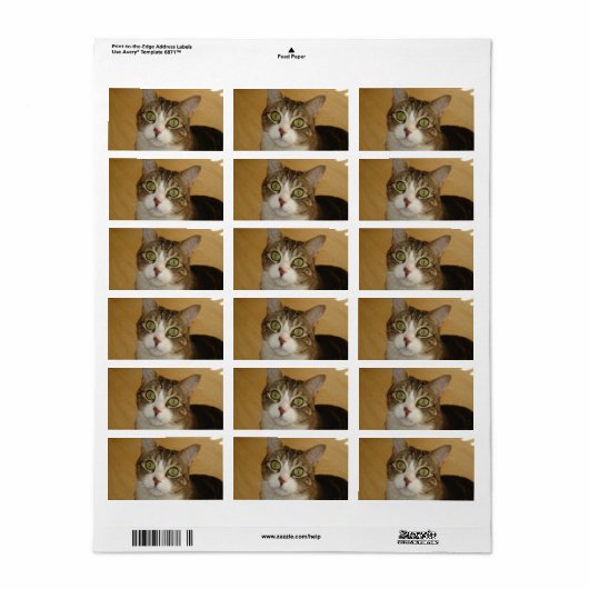 猫の目 ラベル (フルシート)