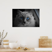 猫の目 壁のアート ポスター (キッチン)