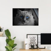 猫の目 壁のアート ポスター (ホームオフィス)