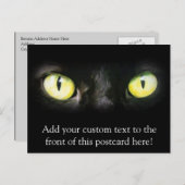 猫の目、黒と黄色の視線 ポストカード (正面/裏面)