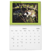 猫の知恵101の4季節 カレンダー (3月 2026)