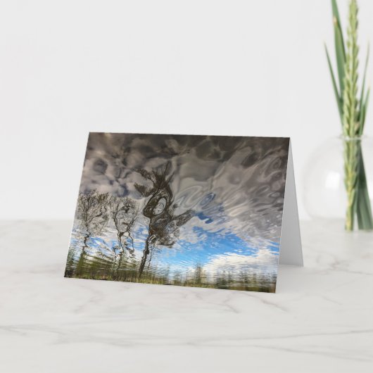 猫の石の木の空白のなカード カード (正面)