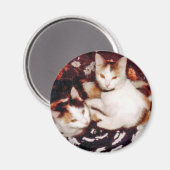 猫の磁石を固める マグネット (正面/裏面)