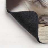 猫の紙バッグ マウスパッド (コーナー)