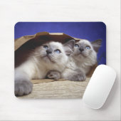 猫の紙バッグ マウスパッド (マウス)