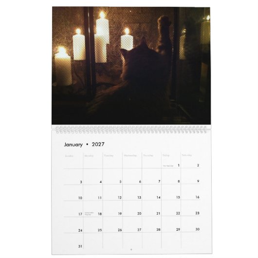 猫の素晴らし脅し カレンダー (1月 2027)