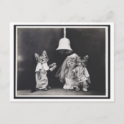 猫の結婚ヴィンテージポストカード ポストカード (正面)