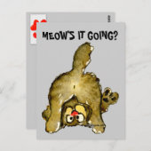 猫の絵はがきが続くニャーニー ポストカード (正面/裏面)