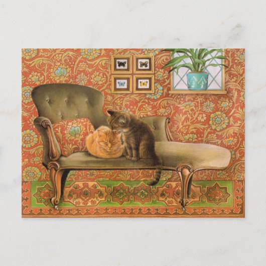 猫の絵を描はがき ポストカード (正面)