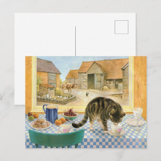 猫の絵を描はがき ポストカード (正面/裏面)