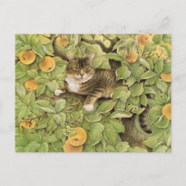 猫の絵を描はがき ポストカード