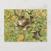 猫の絵を描はがき ポストカード (正面)