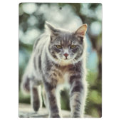 猫の絵画 クリップボード (裏面)