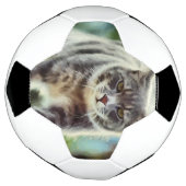 猫の絵画 サッカーボール (回転)