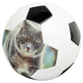 猫の絵画 サッカーボール (3/4)