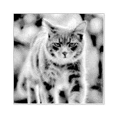 猫の絵画 ラバースタンプ (インプリント)