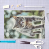 猫の絵画 薄葉紙 (クラフト)