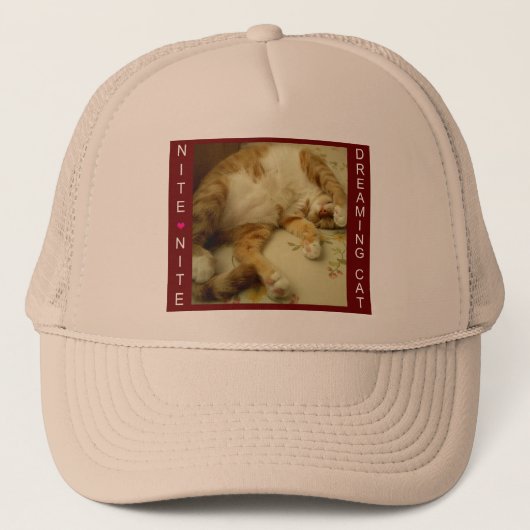 猫の網の帽子を夢を見るNite Nite キャップ (正面)