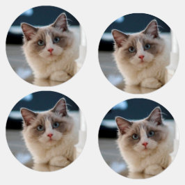 猫の美しいラベル ラベル