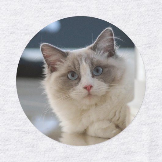 猫の美しいラベル ラベル (デザイン1)