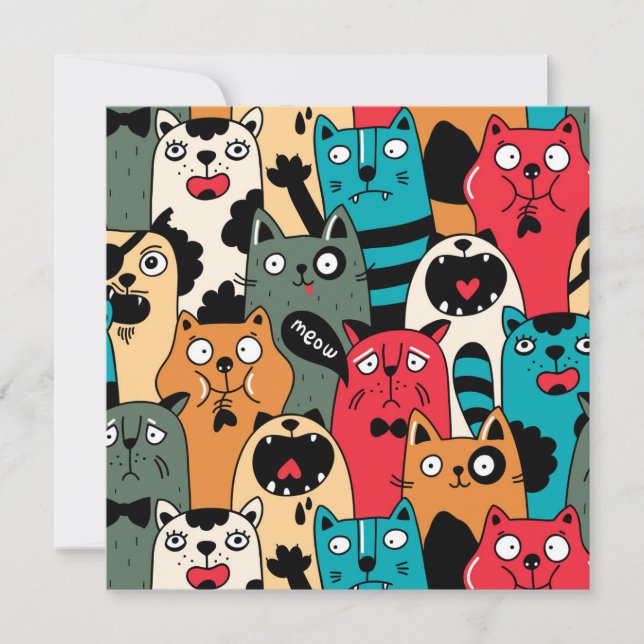 猫の群れ (正面)