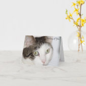 『猫の考えるお気に入り』 カード (黄色い花)