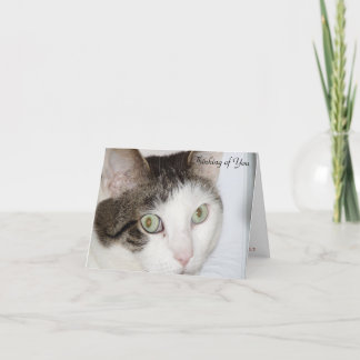 『猫の考えるお気に入り』 カード