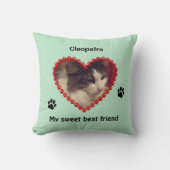 猫の肉柄が記念写真をカスタムプリント クッション (正面)