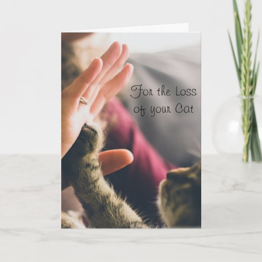 猫の肉球がハイファイブ カード (正面)