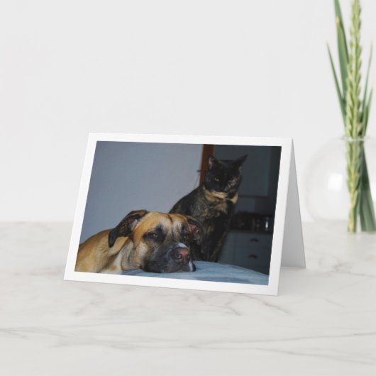猫の肖像の犬 カード (正面)