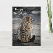 猫の肖像 カード (正面)