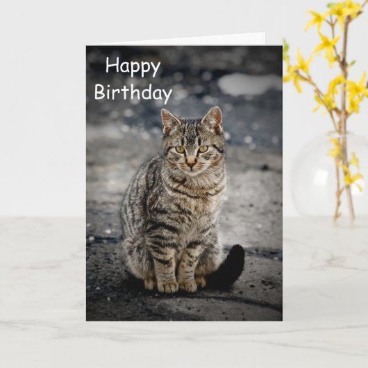 猫の肖像 カード (黄色い花)