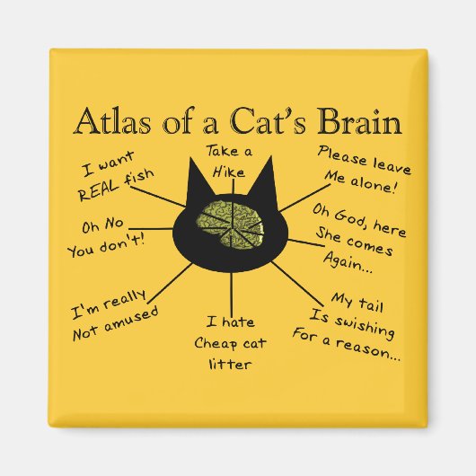 猫の脳の地図 マグネット (正面)