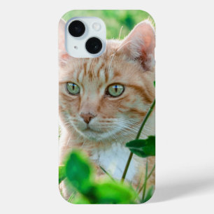 猫の自然 iPhone 15ケース