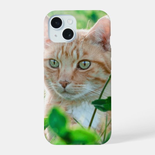 猫の自然 iPhone 15ケース (裏面)