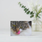 猫の舌の写真の名刺 名刺 (スタンド正面)