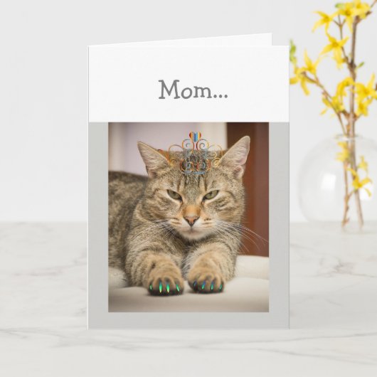 猫の良い母親を探して、母の誕生日おもしろい動物 カード (黄色い花)