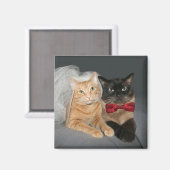 猫の花嫁と花婿 マグネット (正面/裏面)
