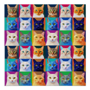 猫の虹 ポスター
